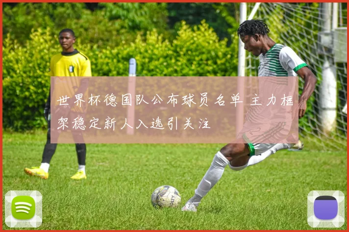 世界杯德国队公布球员名单 主力框架稳定新人入选引关注