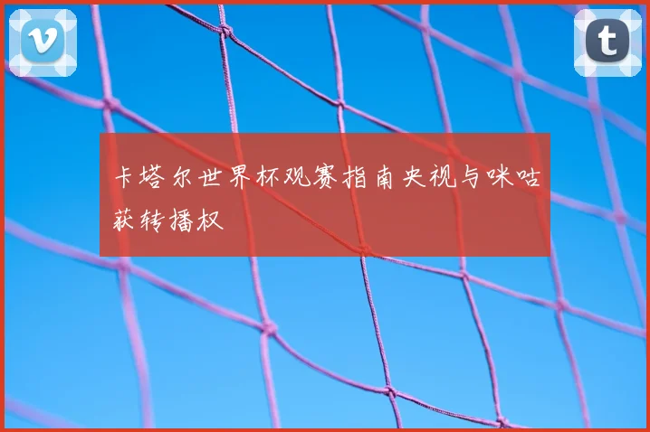 卡塔尔世界杯观赛指南央视与咪咕获转播权