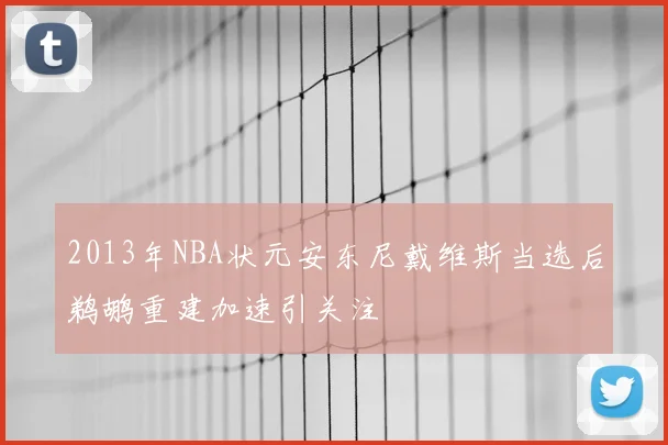 2013年NBA状元安东尼戴维斯当选后鹈鹕重建加速引关注