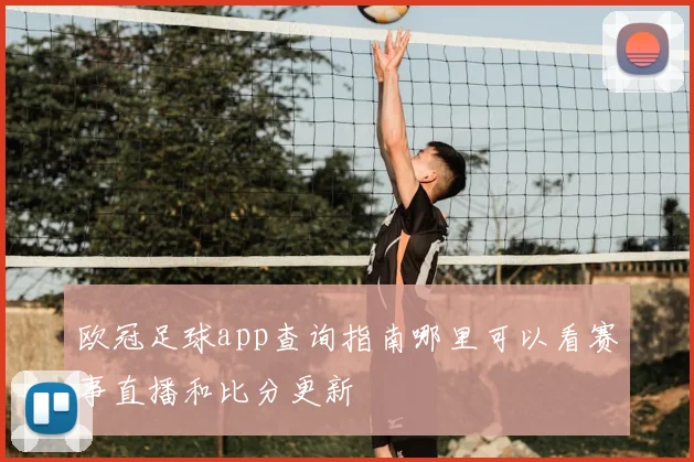 欧冠足球app查询指南哪里可以看赛事直播和比分更新