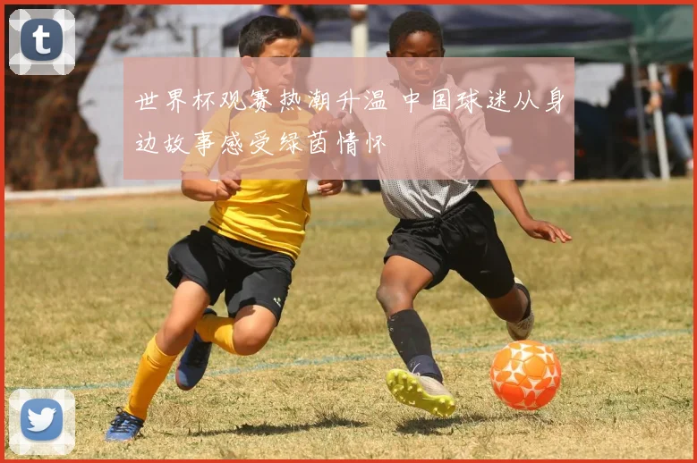 世界杯观赛热潮升温 中国球迷从身边故事感受绿茵情怀