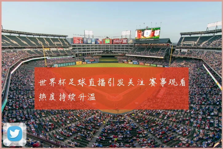 世界杯足球直播引发关注 赛事观看热度持续升温
