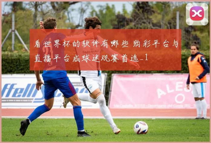 看世界杯的软件有哪些 购彩平台与直播平台成球迷观赛首选_1