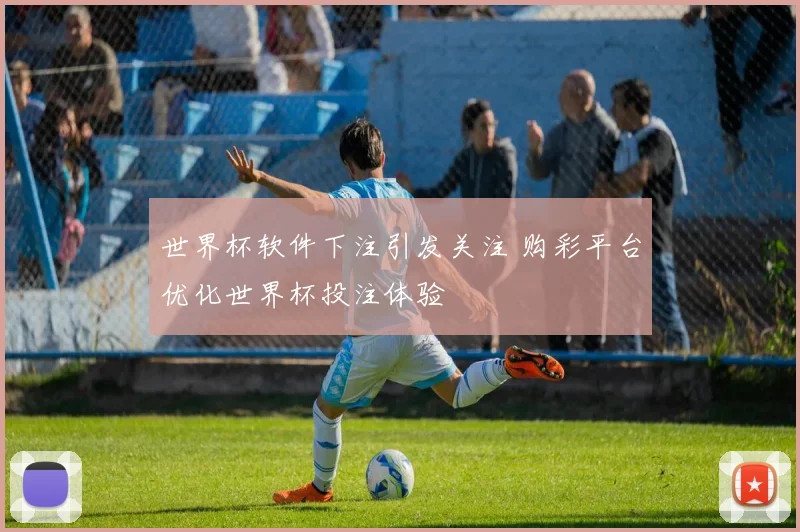 世界杯软件下注引发关注 购彩平台优化世界杯投注体验