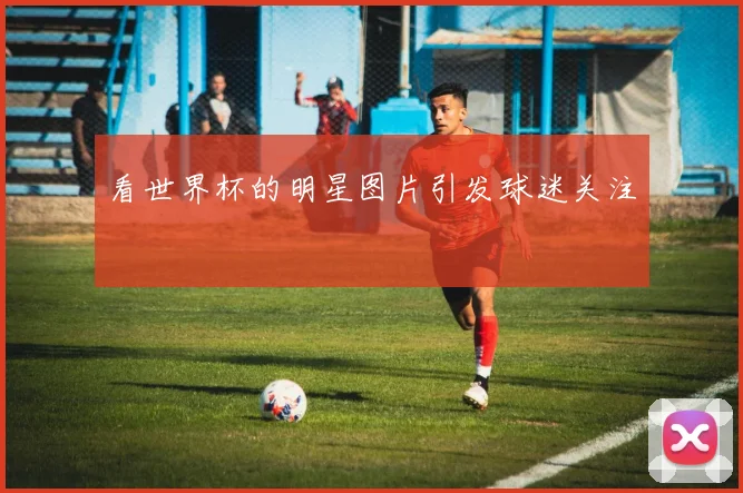 看世界杯的明星图片引发球迷关注
