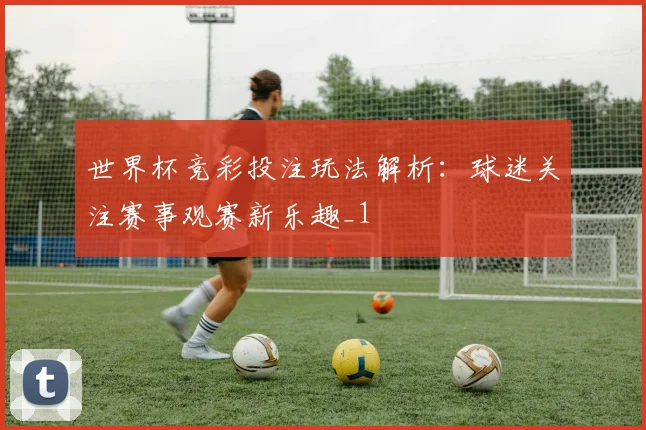 世界杯竞彩投注玩法解析:球迷关注赛事观赛新乐趣_1