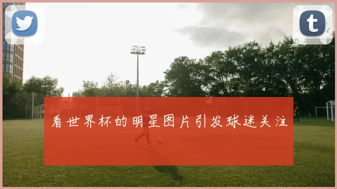 看世界杯的明星图片引发球迷关注