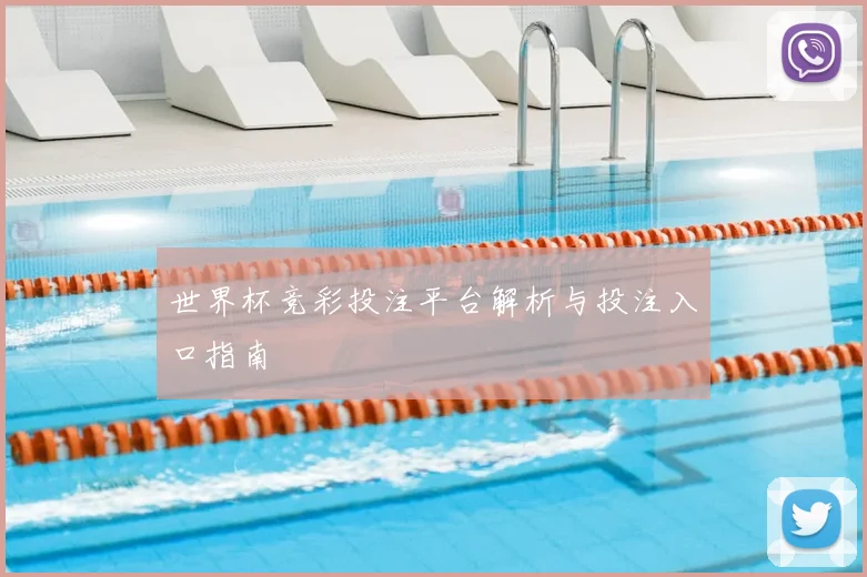 世界杯竞彩投注平台解析与投注入口指南